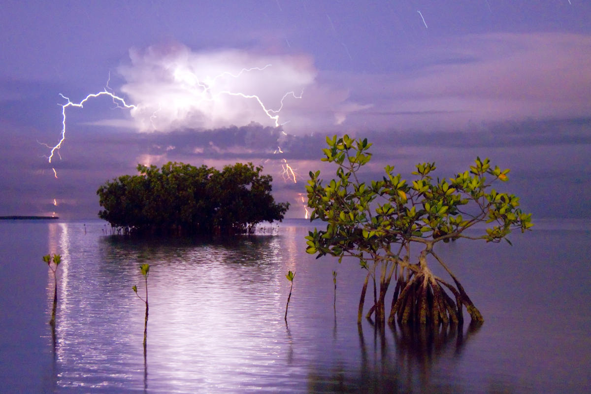 Everglades Honor Roll | Audubon Florida