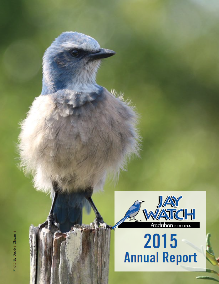 audubon_jaywatch_annualreport_2015_cover.png | Audubon Florida