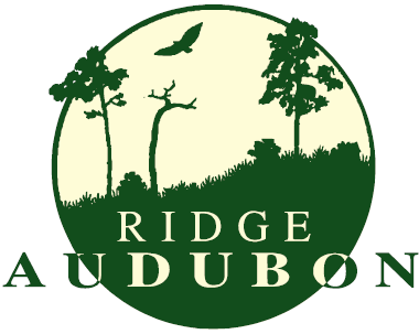 Ridge Audubon Logo