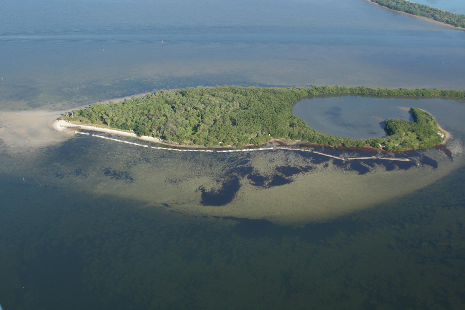 Aerial view of mangrove island surrounded by structure