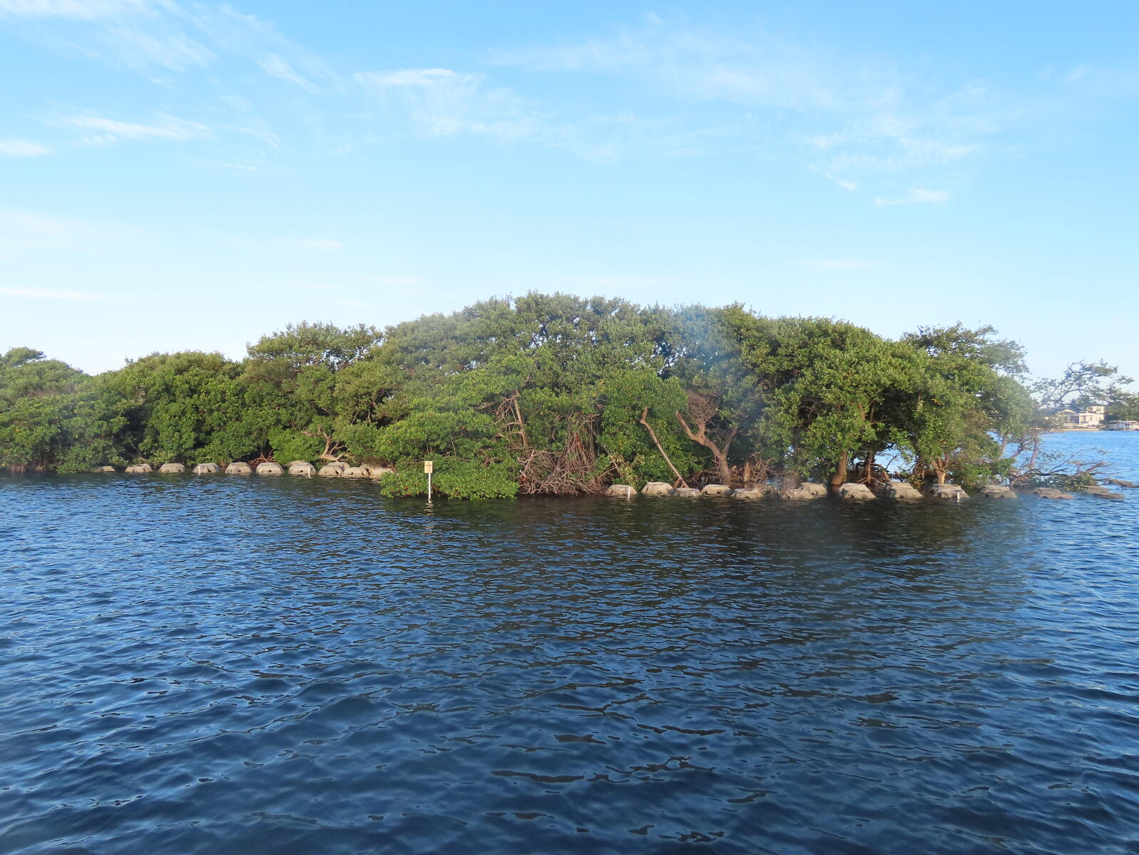 View of an island with trees behind rows of white structures in the water