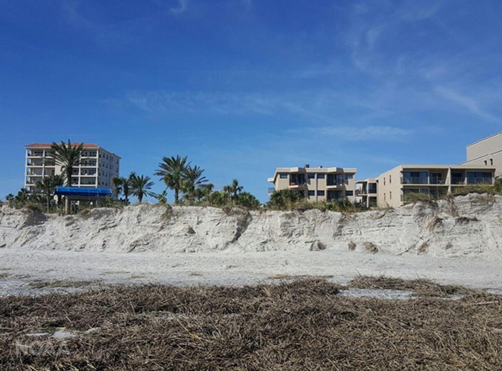 Picture showing eroded dunes at Jacksonville Beach