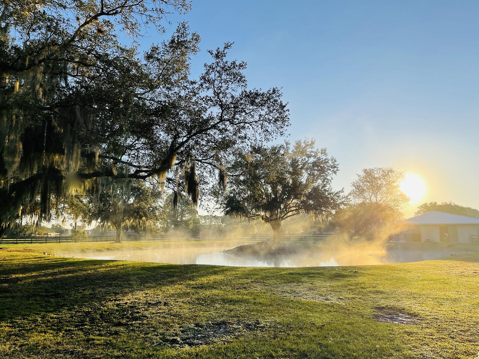 Morning mist rises on a Florida farm. Photo: sumozmom/Pixabay.