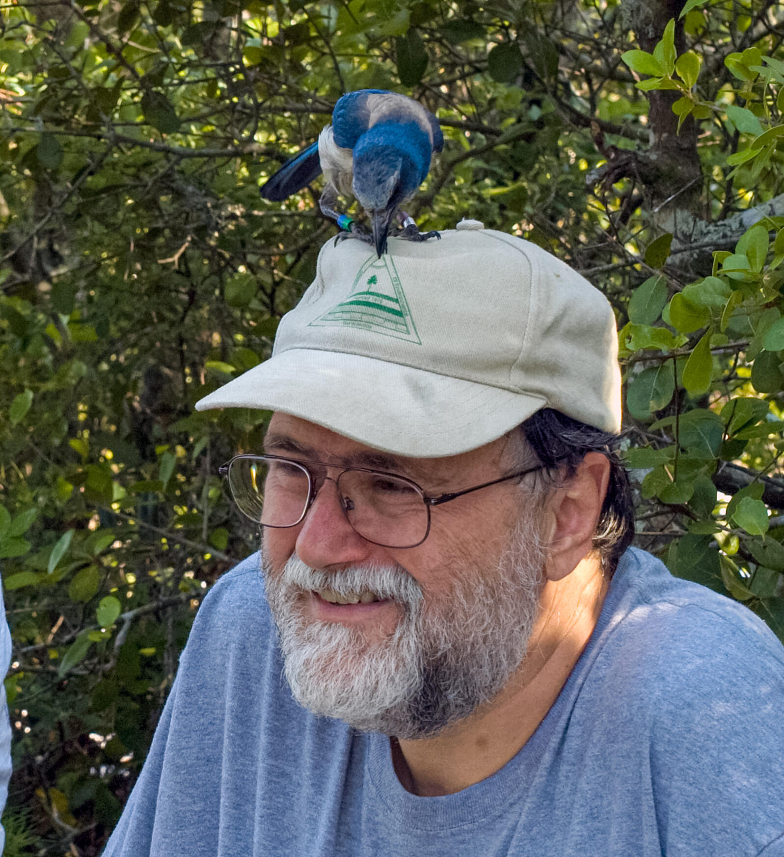 A headshot of Stephen Kintner, with a Florida Scrub-Jay standing on his hat.