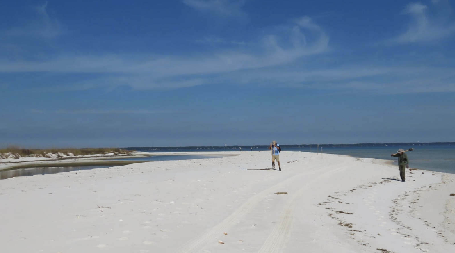 A beach with a man posting a wooden stake, with Gulf of Mexico in the background.