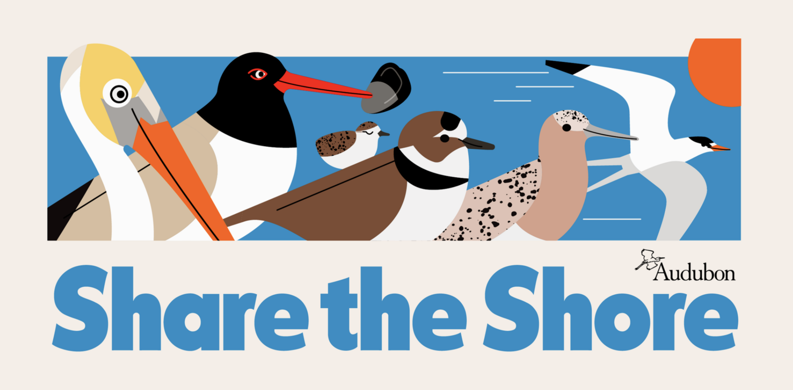 A graphic depicting renderings of coastal birds, including a Brown Pelican, American Oystercatcher, Wilson's Plover, Least Tern, and Black Skimmer.