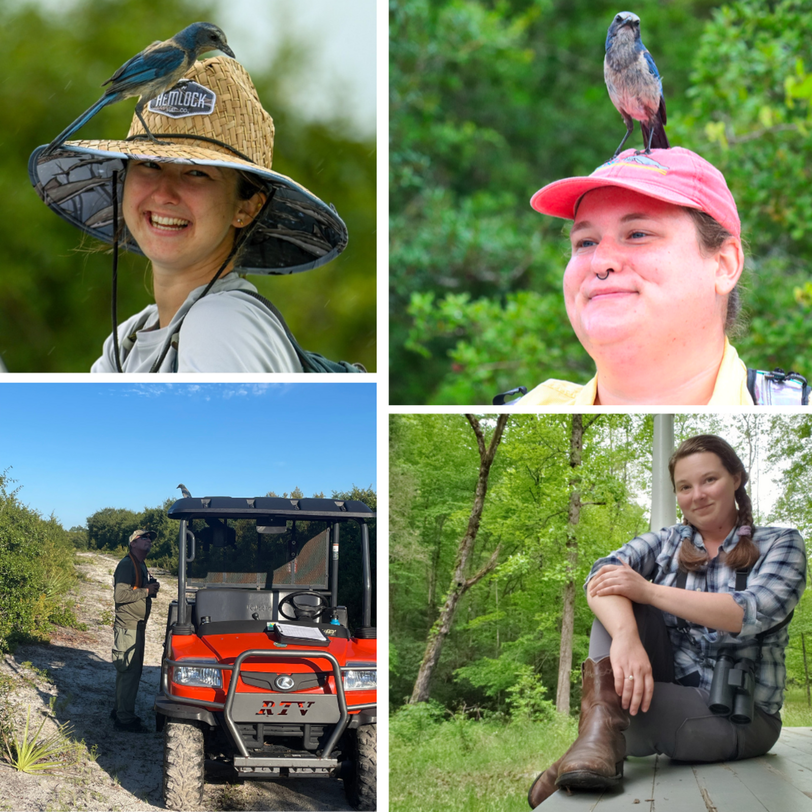 individual photos of volunteers together in a collage