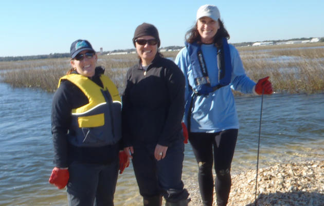 Volunteers Help American Oystercatchers in the Tolomato River