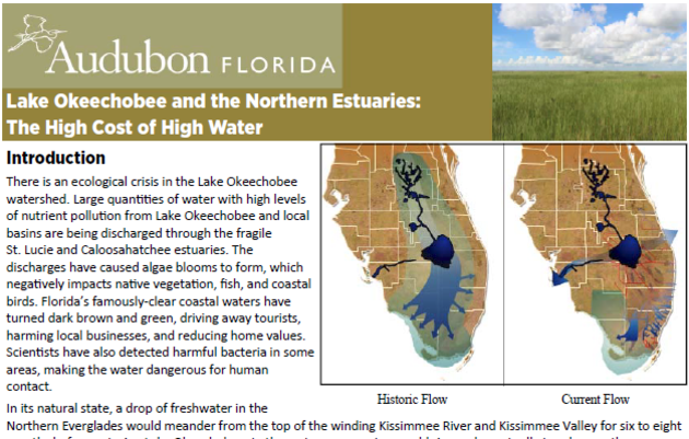 Lake Okeechobee and the Northern Estuaries: The High Cost of High Water