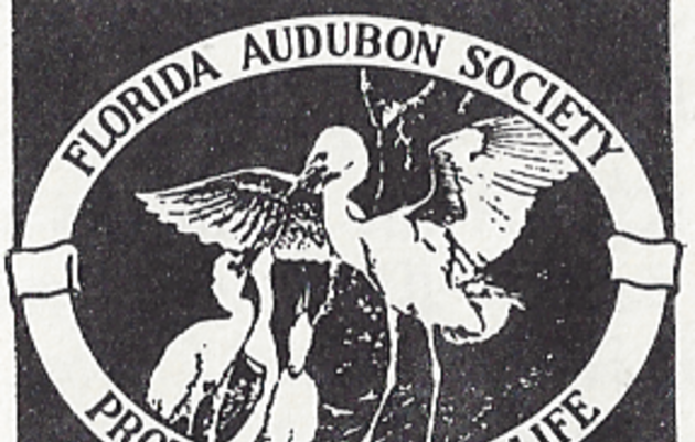 History of Audubon in Florida