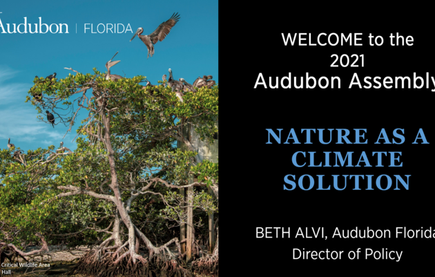 Audubon Florida Assembly Zoom Recordings