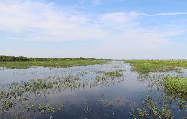 A Restored Kissimmee River in Sight