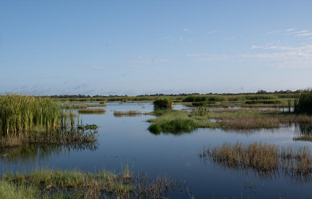 Completion of the Lakeside Ranch Stormwater Treatment Area Means a Healthier Lake Okeechobee