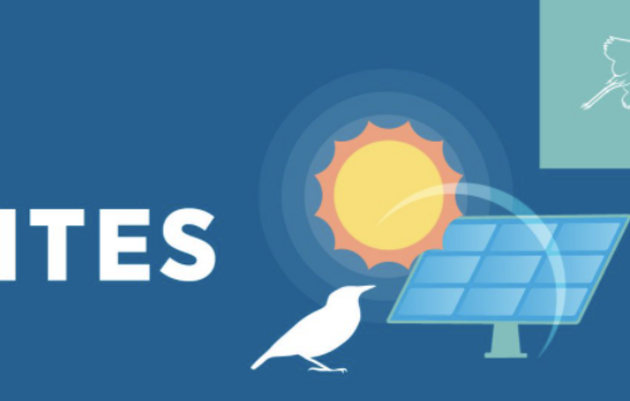 Audubon Florida Dispels Solar Site Myths with New Video and Infographic