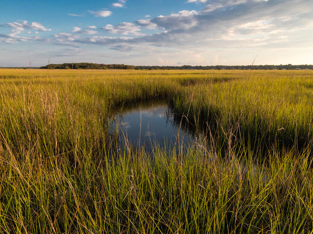 St. Johns County’s Fish Island Protected as Public Park