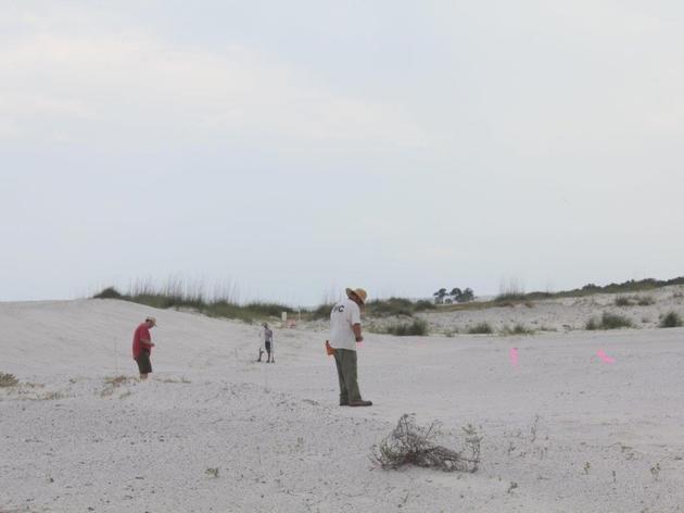 Watchful Officer Takes the Lead to Protect Least Tern Colony