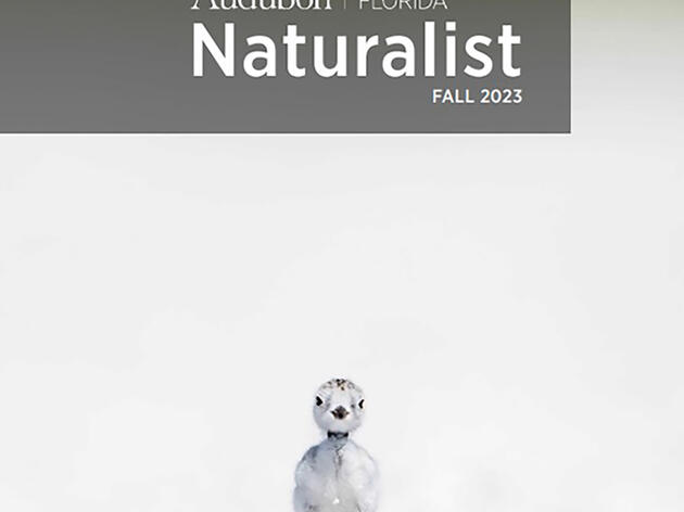 The Naturalist Fall 2023: A Letter from Julie Wraithmell, Executive Director