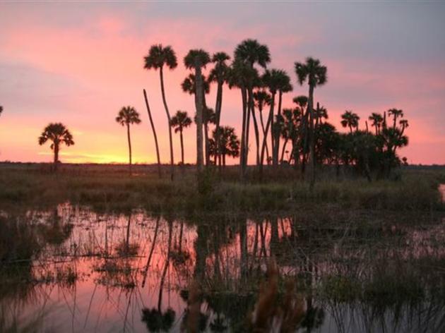 Florida's Special Places: Lake Woodruff National Wildlife Refuge