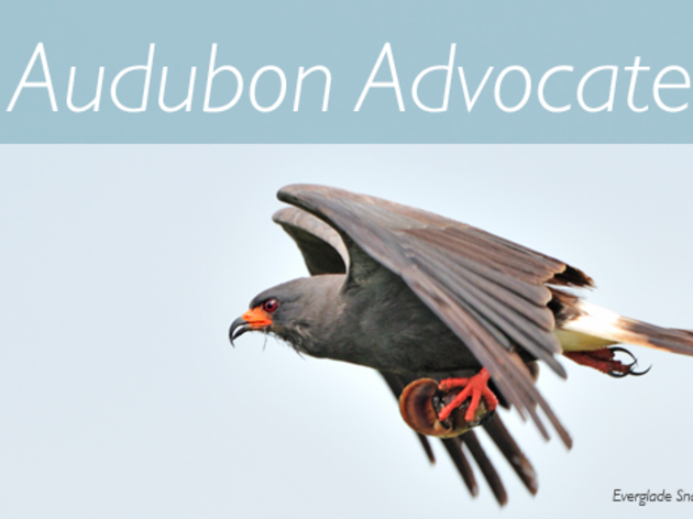 Audubon Advocate: 2017 Legislative Session - Week 4 Update