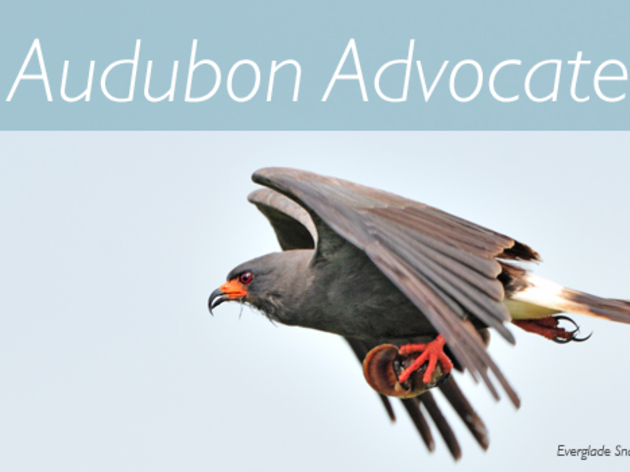 Audubon Advocate: 2017 Legislative Session - Week 6 Update