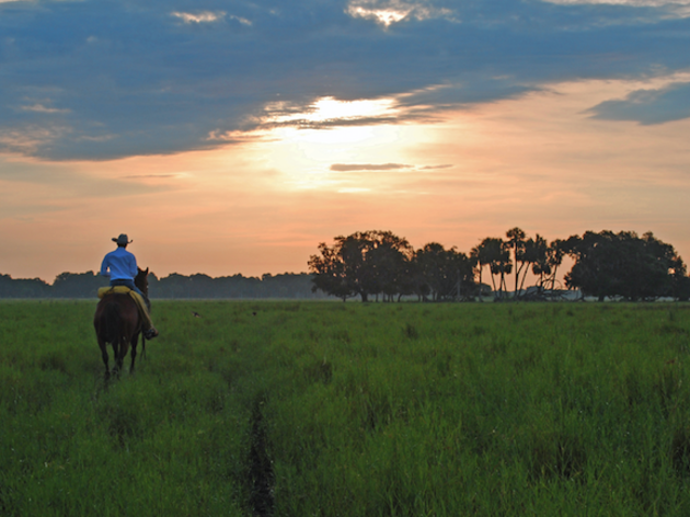 Corona Ranch Conservation Easement Approved