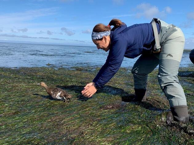 Audubon Celebrates Latino Conservation Week: Meet Eliana Ardila Kramer