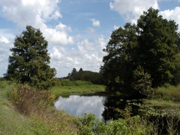 Rafter T Ranch: A Pioneer in Florida Water Management