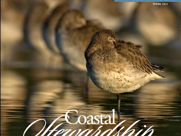 Audubon Florida Naturalist Spring 2012 Now Available!