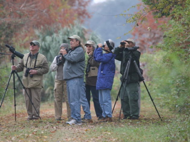 Field Trips at the 2011 Audubon Assembly