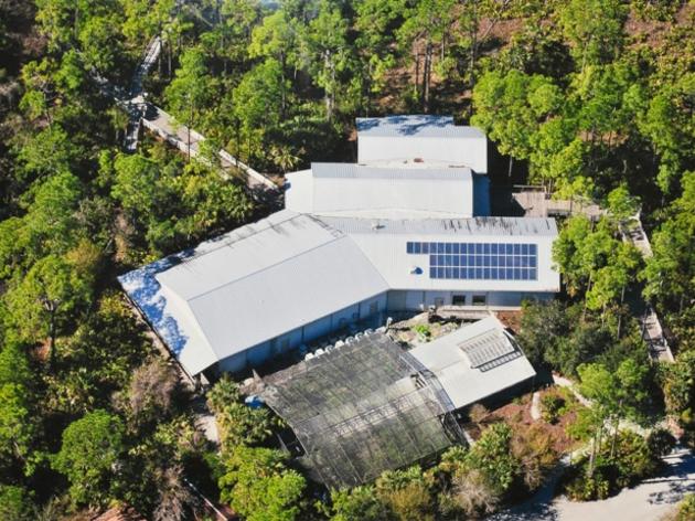 Audubon's Corkscrew Swamp Sanctuary Goes Solar