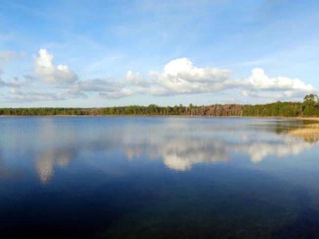 Florida's Special Places: Sandhill Lakes Region Saved from Wellfield Drawdown
