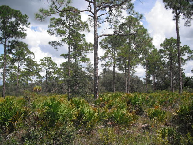 Restoration Progress in the Northern Everglades  