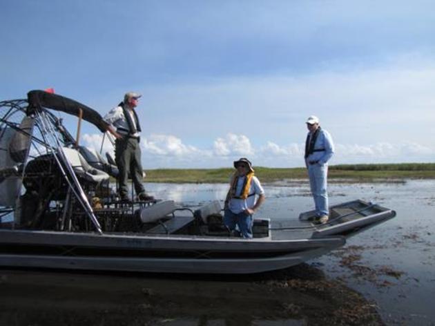 Audubon's Dr. Paul Gray Reports from Lake Okeechobee