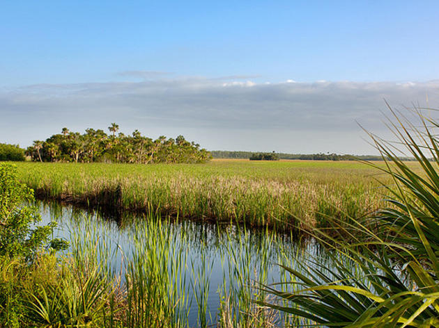 Amidst Large Cuts, Water District’s FY 2012 Budget is Still Committed to Everglades Restoration  