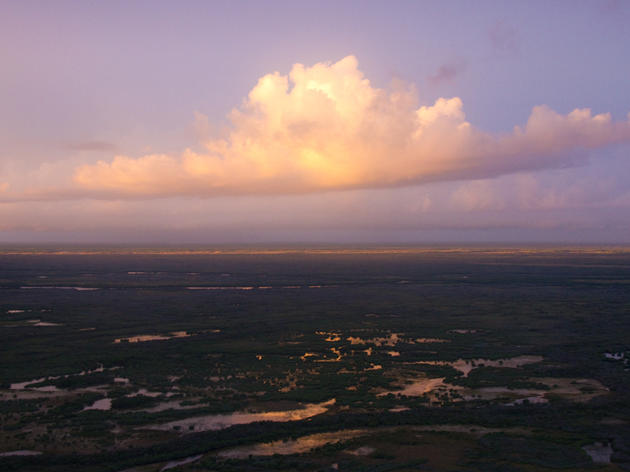 Everglades Restoration and Climate Change Adaptation Highlighted in President's Climate Action Plan