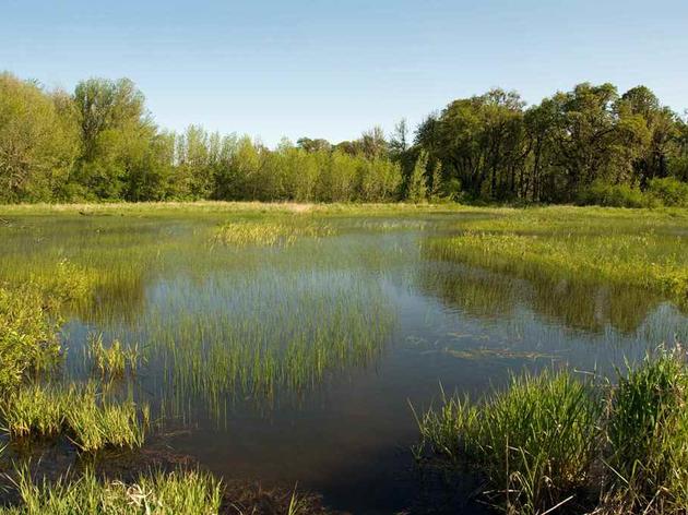 Audubon's Letter to DEP Regarding Conservation Land Assessment Now Available