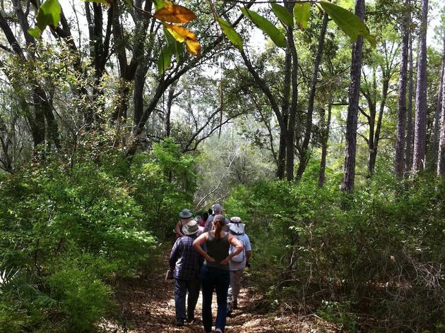 February is Florida Hiking Trails Month