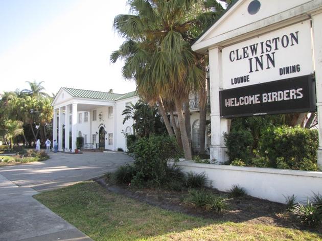 Audubon's Dr. Paul Gray Reports from the “Big O Birding Festival” in Clewiston