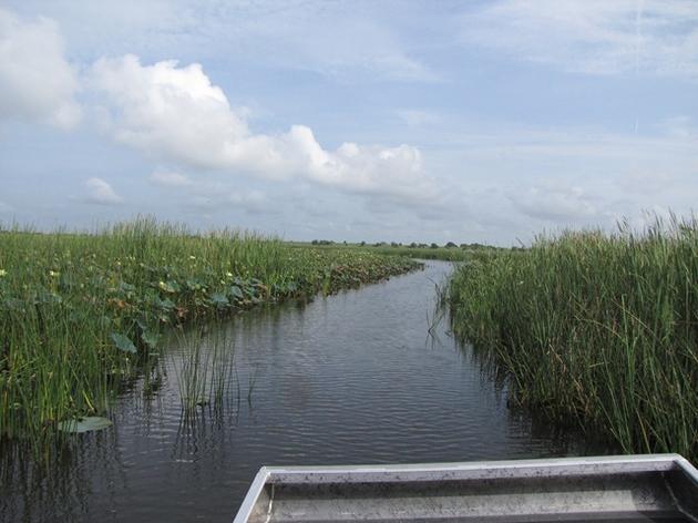 "Life Support" - Audubon Magazine Reports from Lake Okeechobee