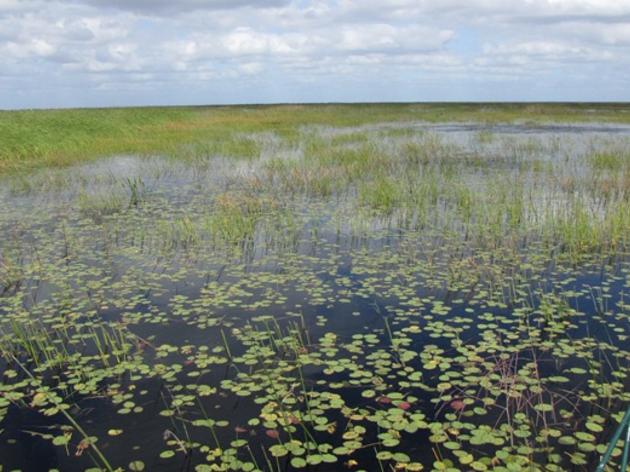 On Lake Okeechobee With US Fish and Wildlife and Florida Wildlife Conservation Commission Staff