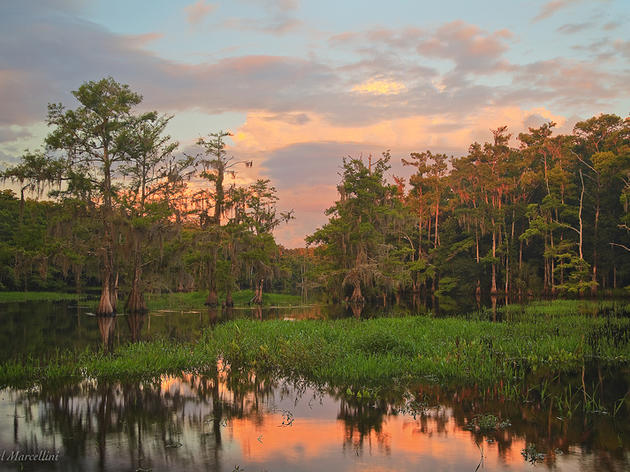 Florida's Special Places: Fisheating Creek
