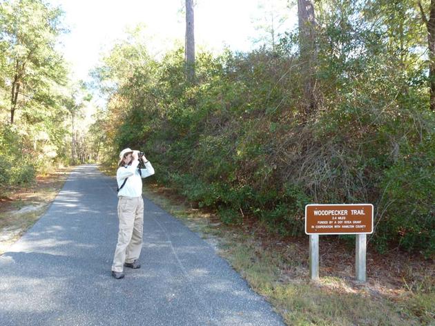 Christmas Bird Count: From the Suwannee River to the Phosphate Mines