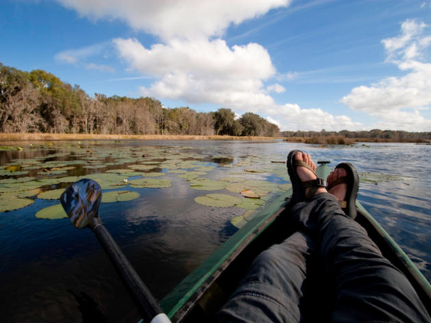 Take Action for Florida’s Special Places at the 2011 Audubon Assembly