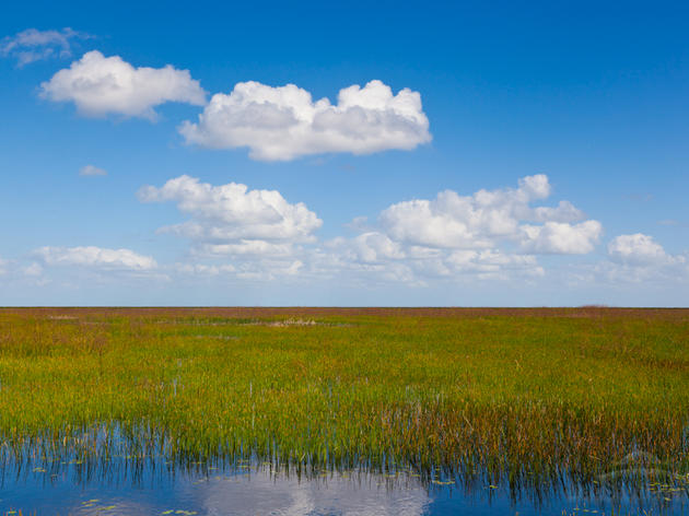 Audubon Advocates on Behalf of Treasured South Florida Habitats