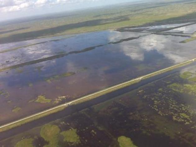 Support New Land Deal to Clean Up Everglades Water