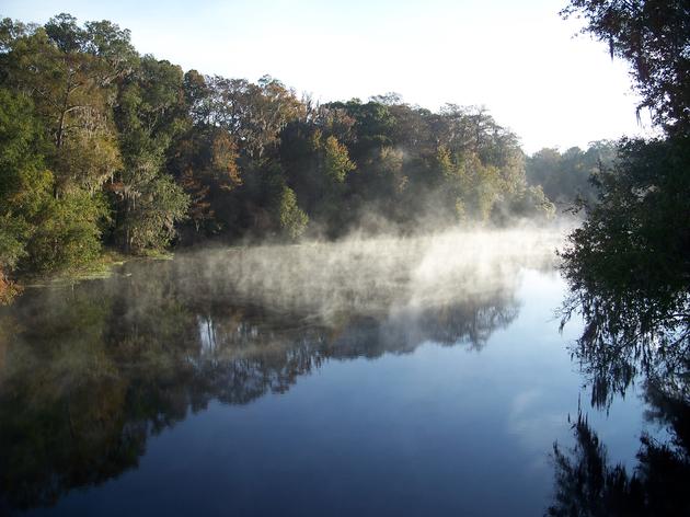 Audubon Objects to Suwannee River Water Management District Hunting Permit