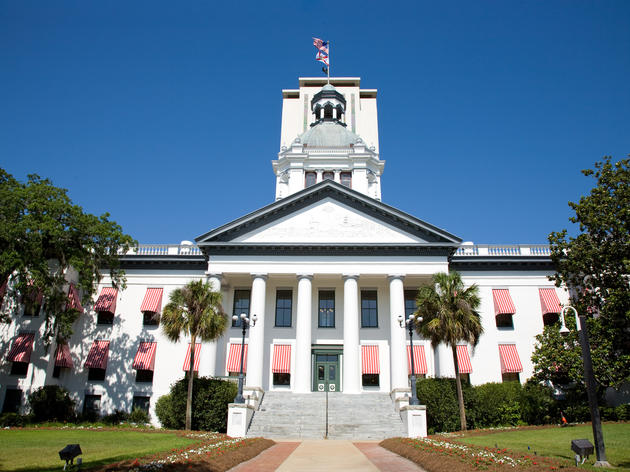 Audubon Florida Prepares for 2017 Legislative Session