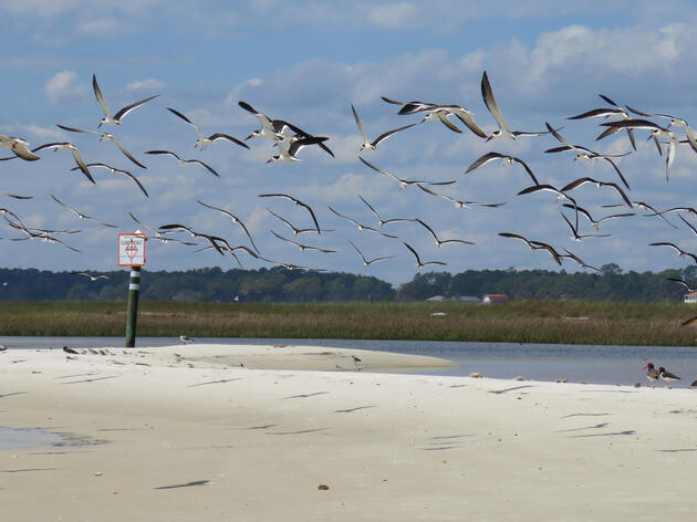 Coastal Stewardship Answers Critical Questions