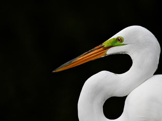 Audubon Florida Assembly