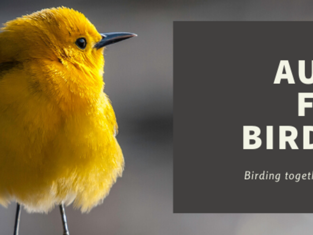 Audubon Florida 2020 Earth Day Birdathon